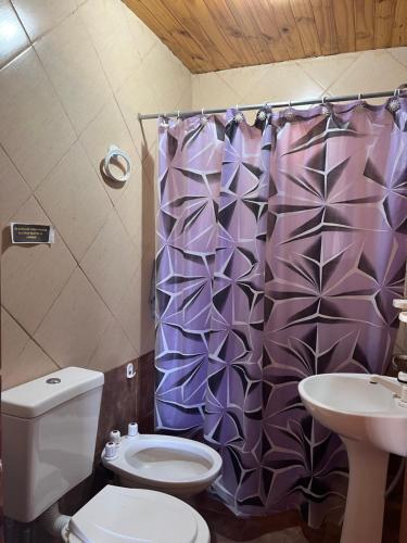 a bathroom with a purple shower curtain and a toilet at Cabañas del Valle in Huerta Grande