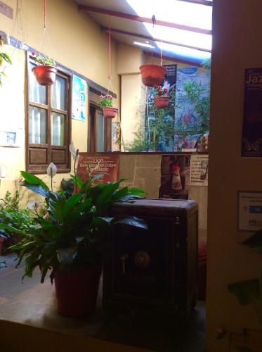 a room with potted plants on a counter in a store at Hotel Plaza Mayor in Tlalpujahua de Rayón