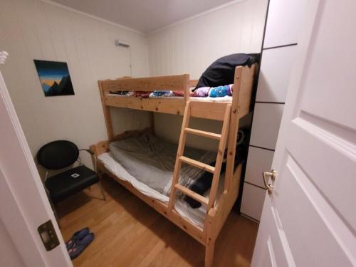 a bunk bed with a ladder in a room at Appartment in Målselv Fjellandsby in Bergset