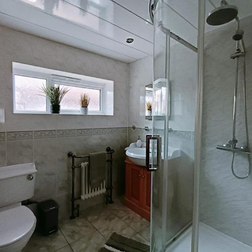 a bathroom with a shower and a toilet and a sink at Geneva Cottage - close to Darlington train station in Darlington