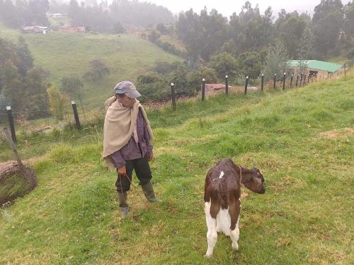 Afbeelding uit fotogalerij van Camping Nuevo Amanecer 