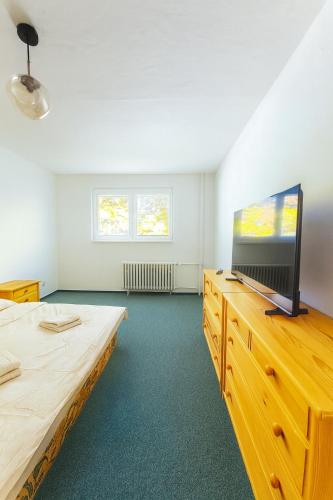 a bedroom with a bed and a tv on a dresser at Apartmán 13 in Otilia