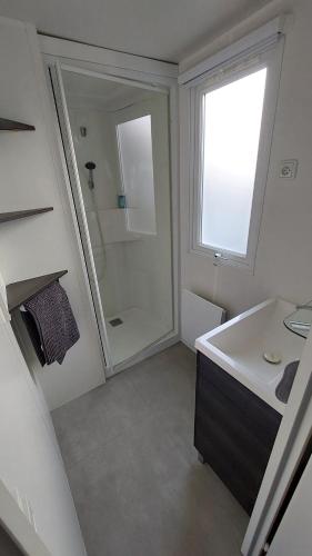 a bathroom with a shower and a sink and a mirror at Mobilhome 3 chambres TV-WIFI-Lave-linge in Pont-Aven