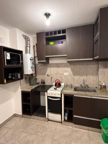 eine Küche mit Herd und Spüle in der Unterkunft Acogedor departamento cerca de rios, montañas y naturaleza in Salta