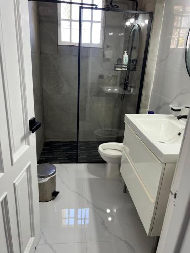 a bathroom with a shower and a toilet and a sink at Brisa de Mar in Boca Chica