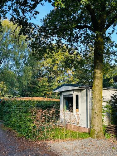 a small shed sitting next to a tree at Nature Escape Veluwe Chalet in Putten
