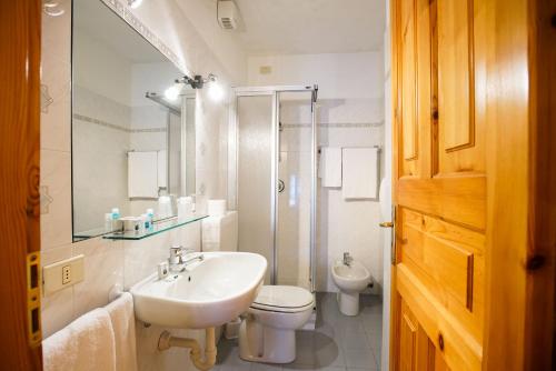 La salle de bains est pourvue d'un lavabo, de toilettes et d'une douche. dans l'établissement Hotel Locanda Belvedere, à Courmayeur