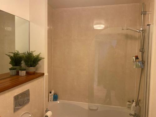 une douche avec une porte vitrée dans une salle de bain dans l'établissement Oasis in heart of Dublin city, à Dublin