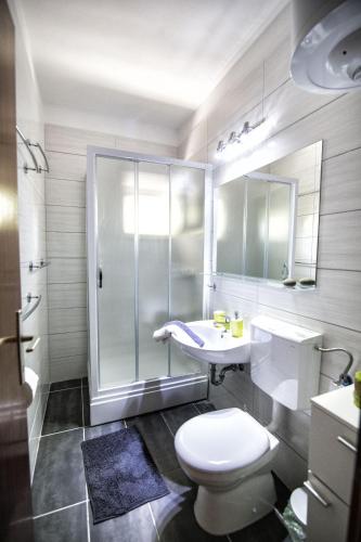 a bathroom with a toilet and a sink and a shower at Apartament Skoko in Slatine