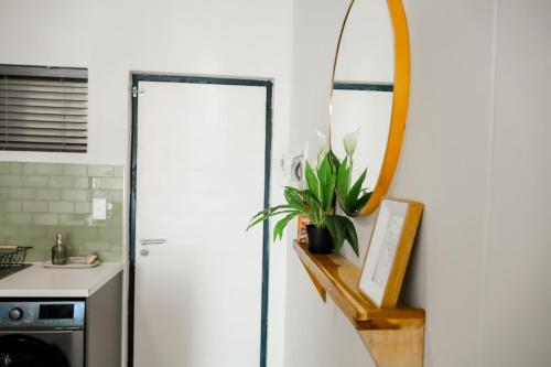 A kitchen or kitchenette at Vijas Haven