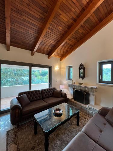 a living room with a couch and a fireplace at Entire Apartment 140m2 near Syvota and Parga in Makrochóra