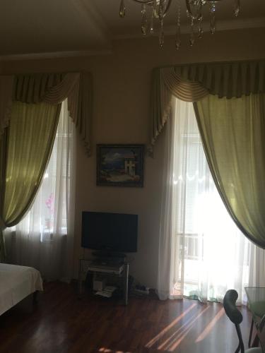 a bedroom with two large windows and a television at Kiev Centre Apartments in Kyiv