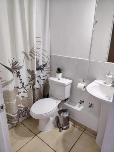 a bathroom with a toilet and a sink at Departamento en Talca con 3D-2B y estacionamiento in Talca
