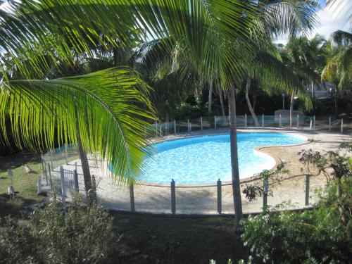 a large swimming pool with palm trees around it at Villa Redfish in Orient Bay