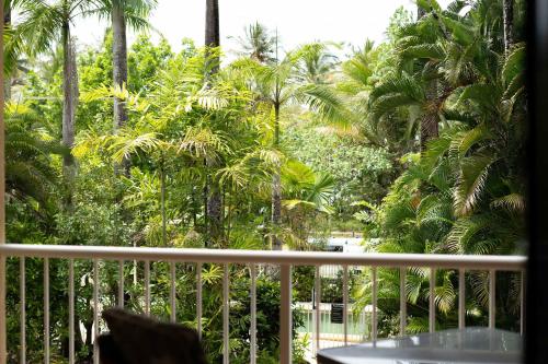 米申海滩Liana 10 One bedroom beachfront views的阳台享有棕榈树的景致。