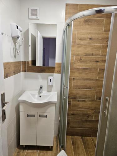 une salle de bain avec un lavabo et une douche dans l'établissement Apartments Peka, à Dušanovac (historical)