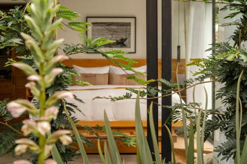 a bedroom with a bed and some plants at Aviva Hotel in Tzununá