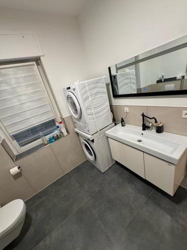 a bathroom with a sink and a toilet and a mirror at Apartment Fabiola Hamberg strasse 34 in Siegen in Siegen