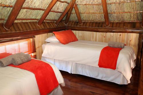 two beds in a room with wooden walls and ceilings at Sperrgebiet Lodge in Springbok