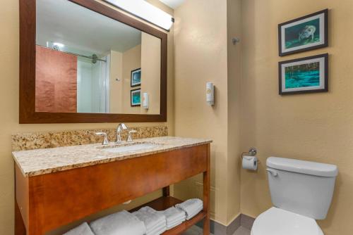 a bathroom with a sink and a toilet and a mirror at Comfort Suites Tallahassee Capitol - University Area in Tallahassee
