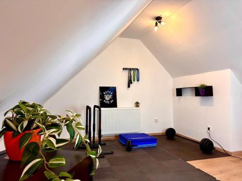an attic living room with a staircase and a plant at Vollausgestattetes & harmonisches Wohlfühl Apartment in Saarbrücken