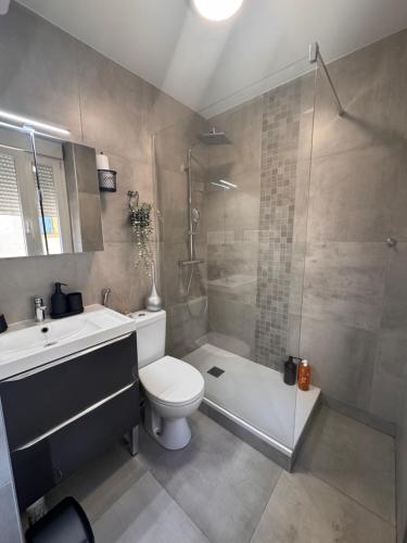 a bathroom with a toilet and a sink and a shower at Cozy apartment 15 minutes from Lyon in Saint-Fons