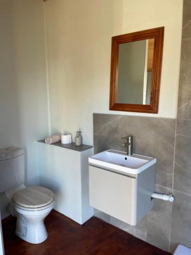 a bathroom with a toilet and a sink and a mirror at Supertubes Villa in Jeffreys Bay