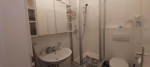 a bathroom with a shower and a sink and a toilet at Wohnung in Hürth bei Köln in Hürth
