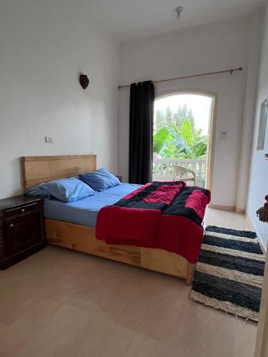 a bedroom with a bed with a large window at Noby Guest House in Luxor