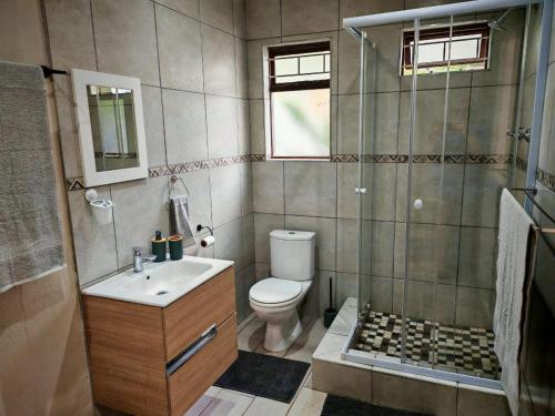 ein Badezimmer mit Toilette, Waschbecken und Dusche in der Unterkunft The Lion's Den in George