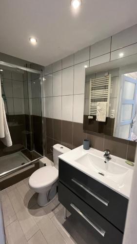 a bathroom with a toilet and a sink and a shower at Zen Studio Center Toulon in Toulon