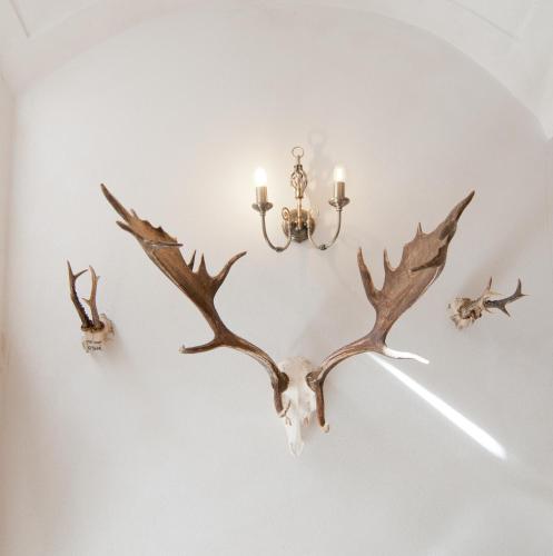 a pair of antlers on a wall with a chandelier at Zámek Jeseník Nad Odrou in Jeseník nad Odrou