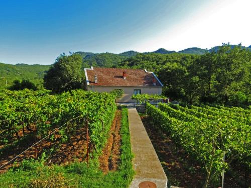 a house in the middle of a vineyard at Estate & Winery San Duyevo in Rijeka Crnojevića