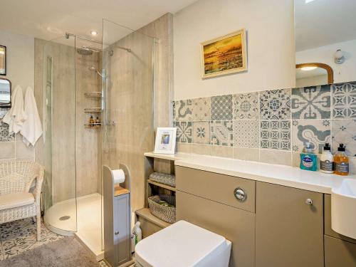 a bathroom with a shower and a toilet and a sink at 2 Bed in Brecon Town BN140 in Brecon
