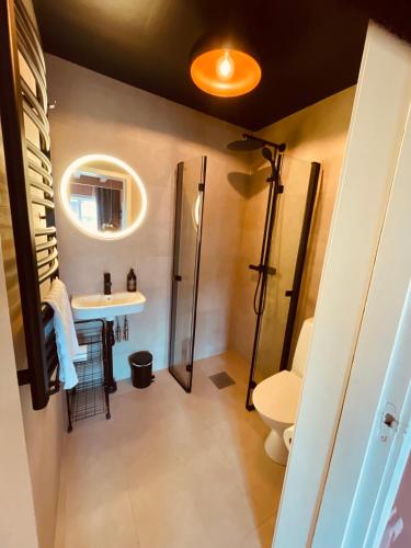 a bathroom with a shower and a sink and a toilet at Gästis Lodge Vemdalen in Vemdalen