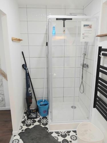 a bathroom with a glass shower with a mop at Appartement 4 ou 2 Parking Wifi Terrasse cosy in Condé-sur-Sarthe