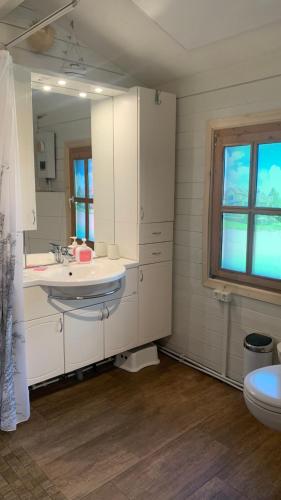 a bathroom with a sink and a toilet at Strandlust Döbeln - Bungalow für eine gemütliche Auszeit zu jeder Jahreszeit in Döbeln