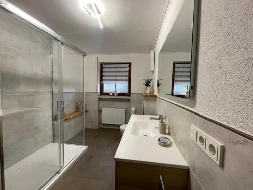 a bathroom with a shower and a sink and a mirror at NEU! Auszeit am Hirzenkopf in Steinberg-Deckenhardt
