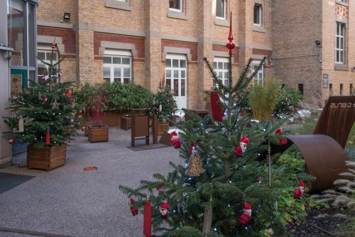 斯特拉斯堡Ciarus的一群圣诞树在一座建筑前