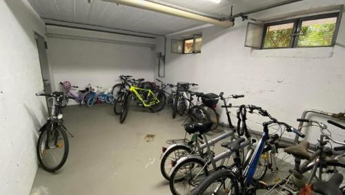 Jízda na kole v ubytování Casa Castaña nebo okolí