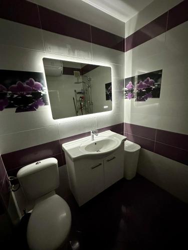 a bathroom with a sink and a toilet and a mirror at Marica Apartment in Plovdiv