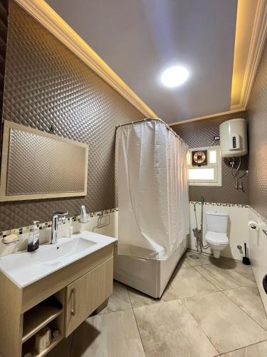 a bathroom with a sink and a toilet at Garden View apartment in Madīnat aţ Ţalāʼi‘
