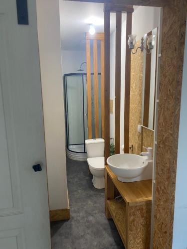 une salle de bain avec un lavabo et des toilettes et un aquarium dans l'établissement Petite maison de campagne, à Castillon-de-Castets