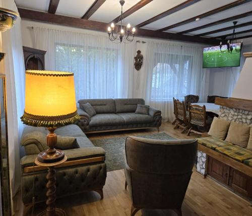 Una sala de estar con un sofá y una lámpara. en DRUMUL DOMNISORILOR c, en Buşteni