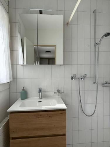 a bathroom with a sink and a shower at Charmantes Studio in Chur - alles in Reichweite in Chur