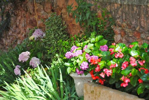 Κήπος έξω από το B&B La Badelle