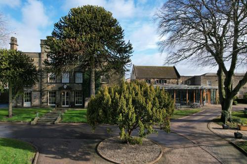 a tree in front of a building at Mosborough Hall Hotel, BW Signature Collection in Sheffield