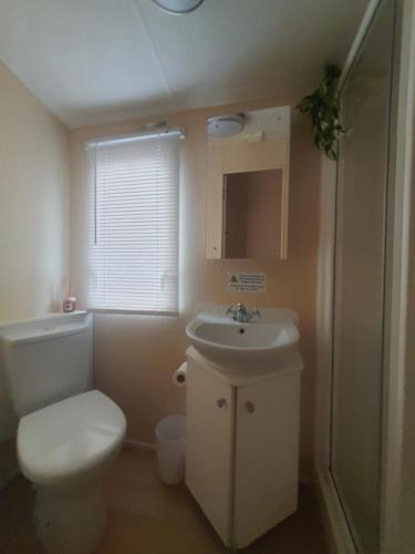 Dawlish WarrenにあるLady's Mileのトイレと洗面台のある小さなバスルーム