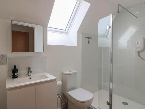 a bathroom with a toilet and a sink and a skylight at Lazy Bulldog in Newport-On-Tay