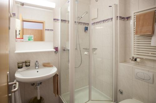 a bathroom with a shower and a sink and a toilet at Hotel Edelweiss in Wengen